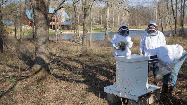 The Incredible Dr. Pol