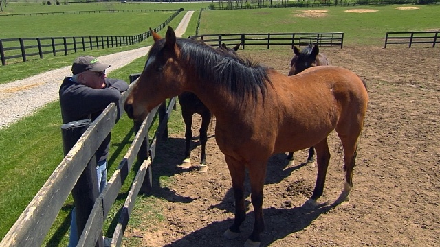 The Travel Detective