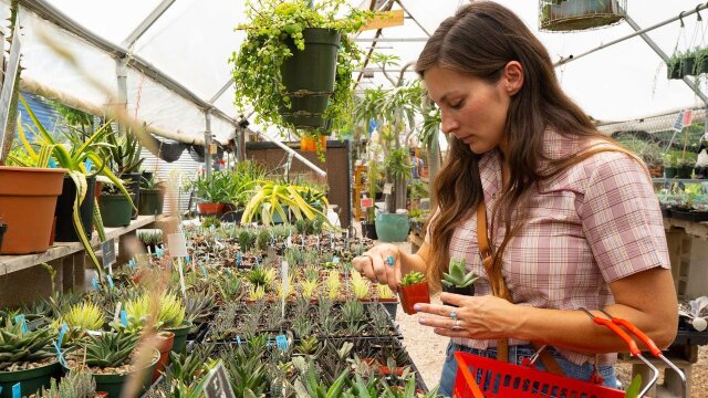 The Retro Plant Shop with Mikey & Jo