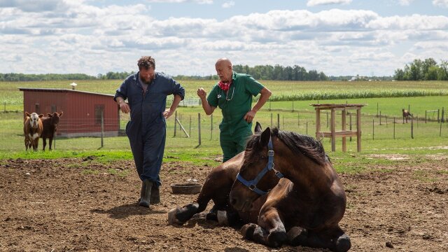 The Incredible Dr. Pol