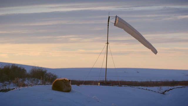 Life Below Zero