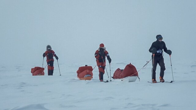 Antarctica