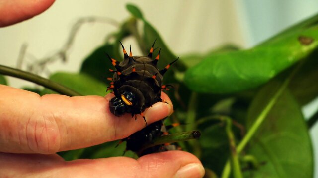 Xploration Awesome Planet