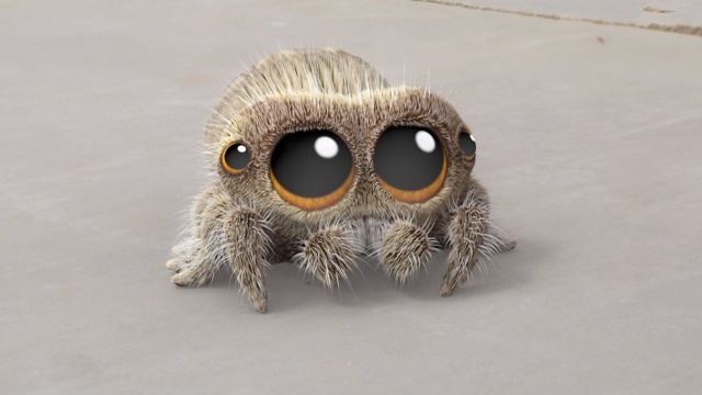 Lucas the Spider