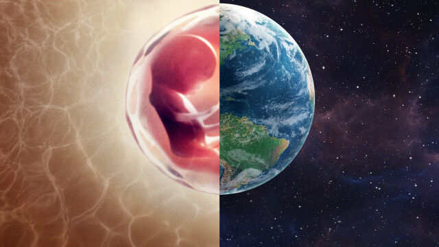 Human: The World Within