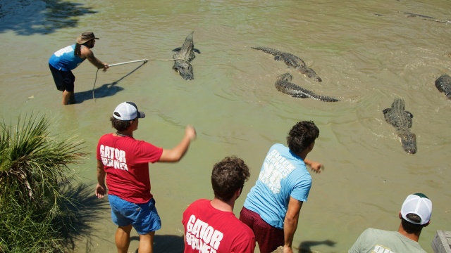 Texas Gator Savers