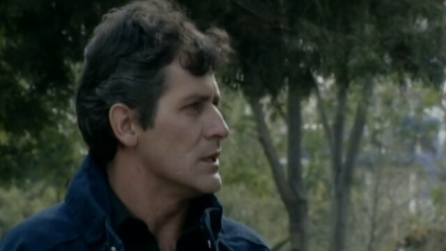 Cañaveral de pasiones