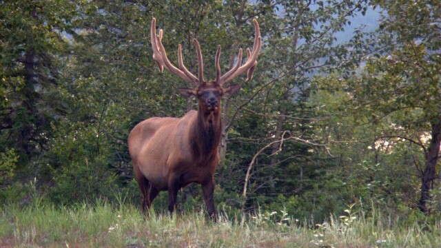 Canada's National Parks