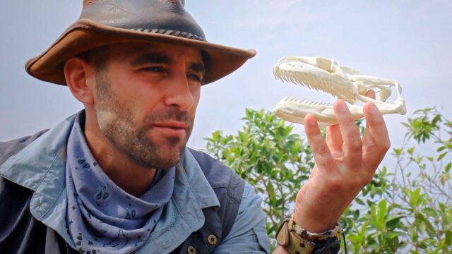 Coyote Peterson: Brave the Wild