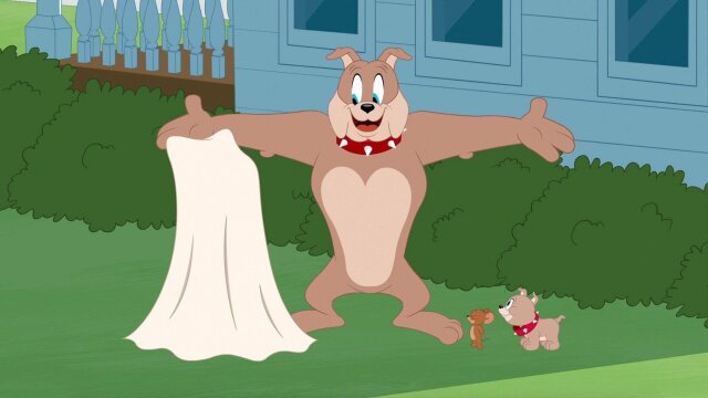 The Tom and Jerry Show