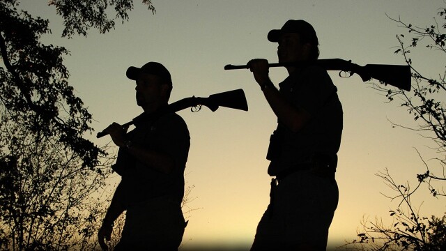 Hornady's Dark and Dangerous