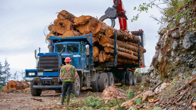 The Last Woodsmen