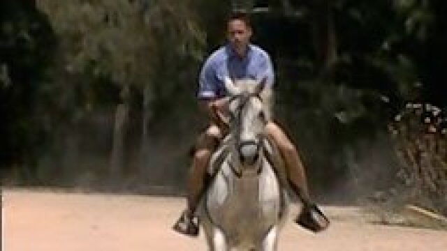 Watch The Jeff Corwin Experience Spain: Americano Loco S2 E13 | TV ...