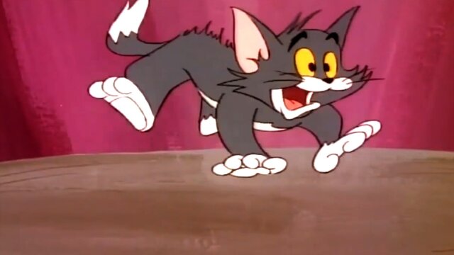 The Tom and Jerry Comedy Show