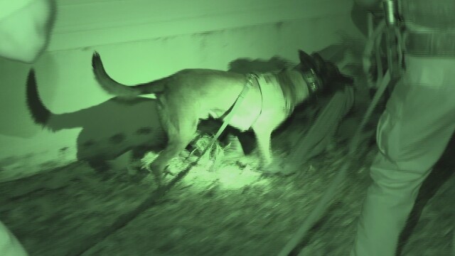 Live PD: Police Patrol K9