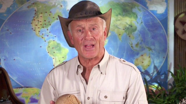 Jack Hanna's Wild Countdown