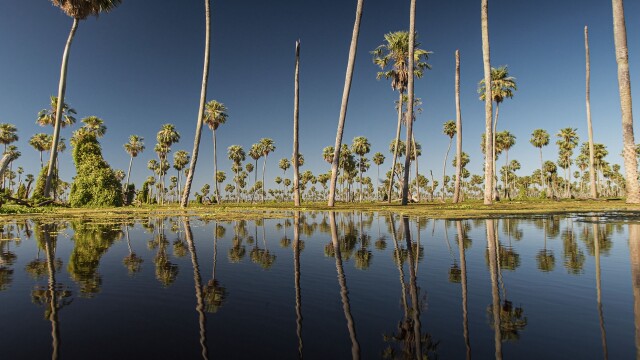 Wild Argentina: Extreme Earth