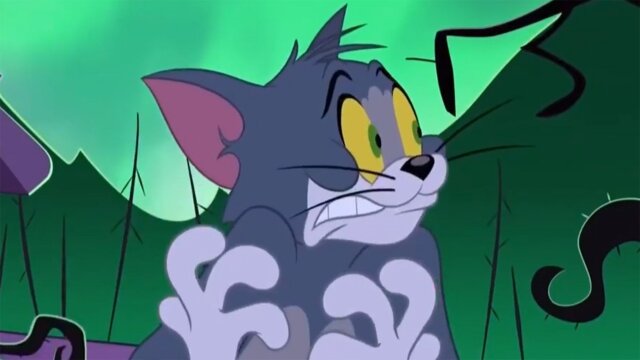 The Tom and Jerry Show