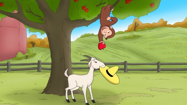 Watch Curious George Mule Feathers; George Serves It Up S14 E8 | TV ...