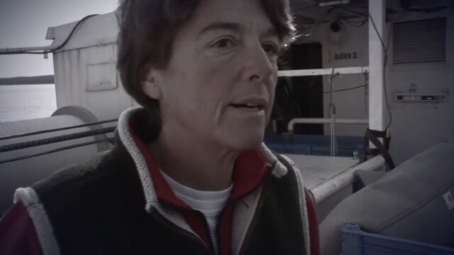 Swords: Life on the Line