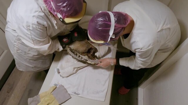 Wildlife Rehab