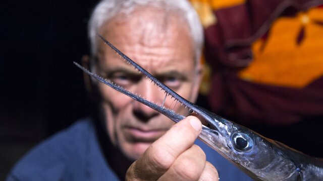 Watch River Monsters Ice Cold Killer: Supersized S9 Eundefined