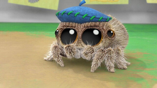 Lucas the Spider