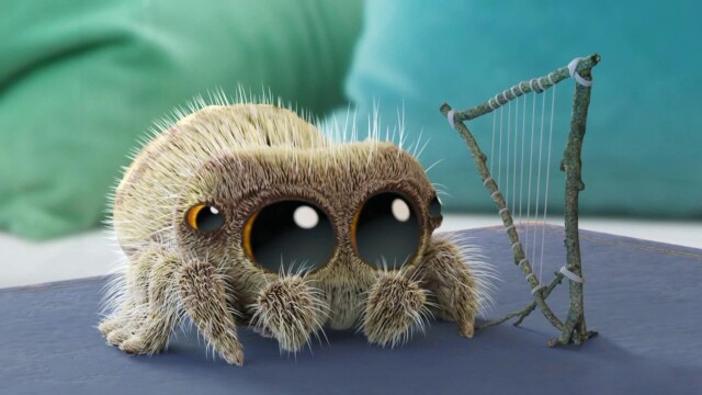 Lucas the Spider