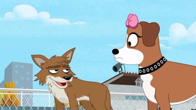 Pound Puppies