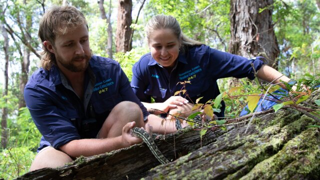 Aussie Snake Wranglers