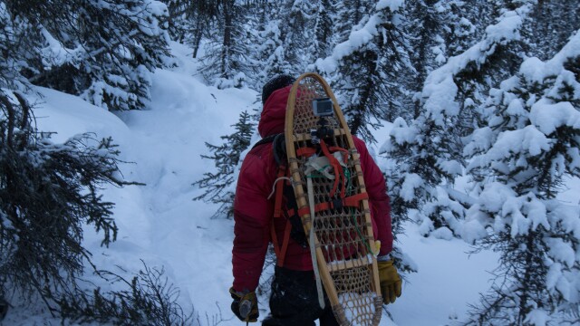 Life Below Zero