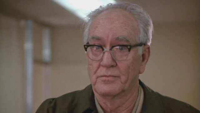 In the Heat of the Night