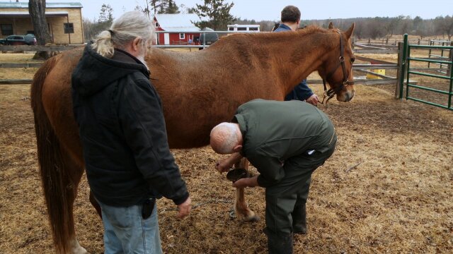 The Incredible Dr. Pol