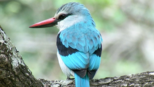 Earth Odyssey With Dylan Dreyer