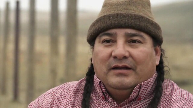 The Magic of the Wild