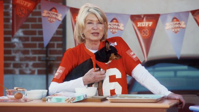 Puppy Bowl XVII