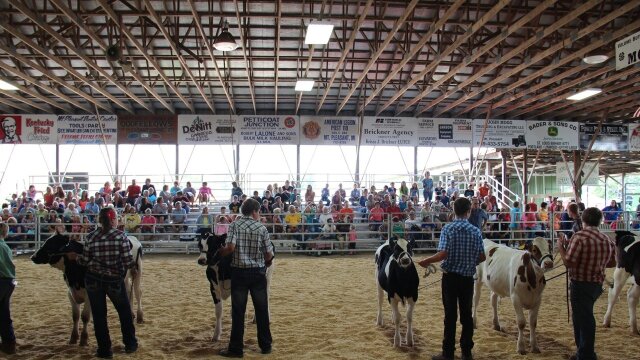 The Incredible Dr. Pol