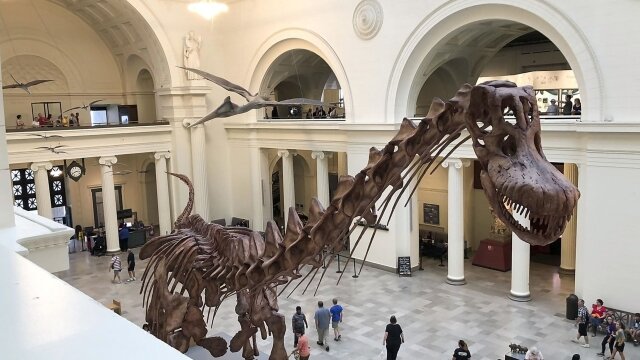 Mysteries at the Museum