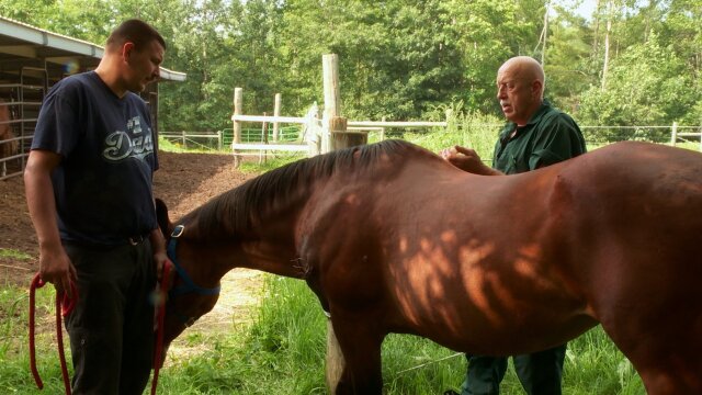 The Incredible Dr. Pol