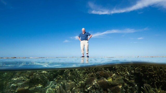 David Attenborough's Great Barrier Reef