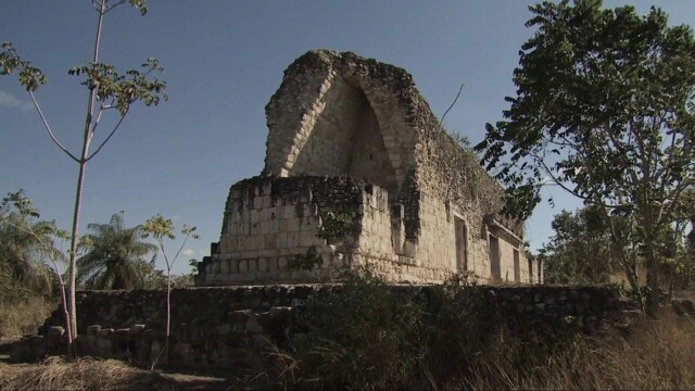In the Americas With David Yetman
