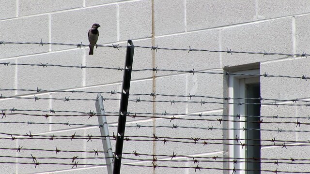 Lockup Special Investigation