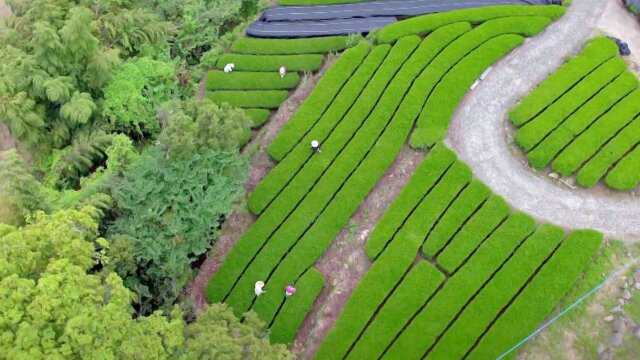 Japan From Above: Up Close