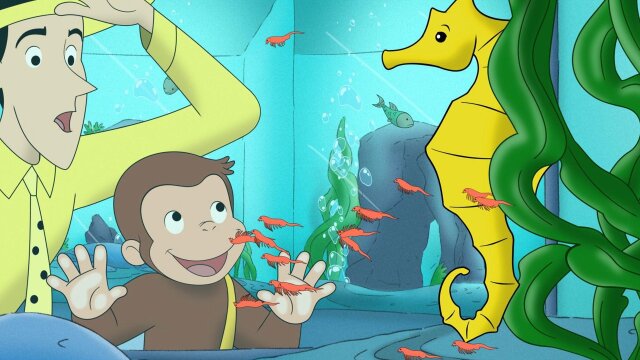 Watch Curious George Season 1