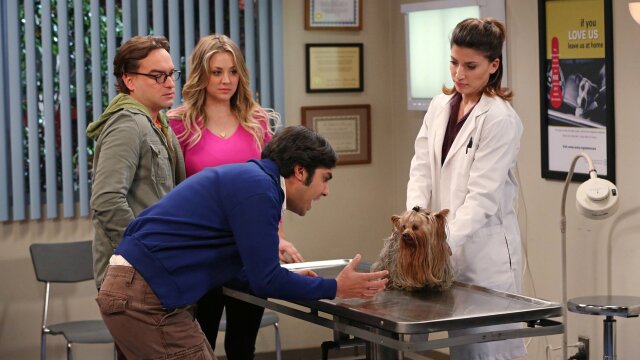 Watch The Big Bang Theory The Scavenger Vortex S7 E3 TV Shows