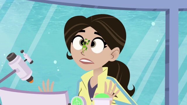 Watch Wild Kratts The Vanishing Stingray S6 E8 | TV Shows | DIRECTV