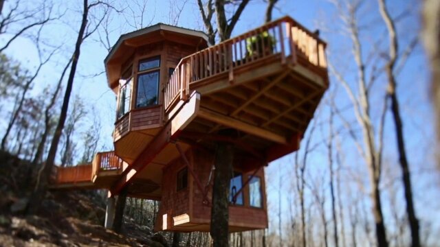 Treehouse masters watch discount online