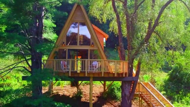 Watch hot sale treehouse online