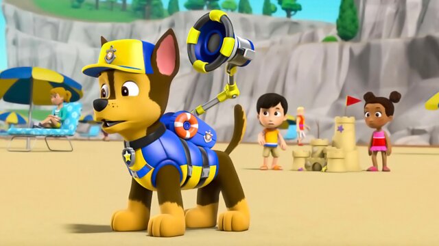 Paw patrol best sale and sea patrol