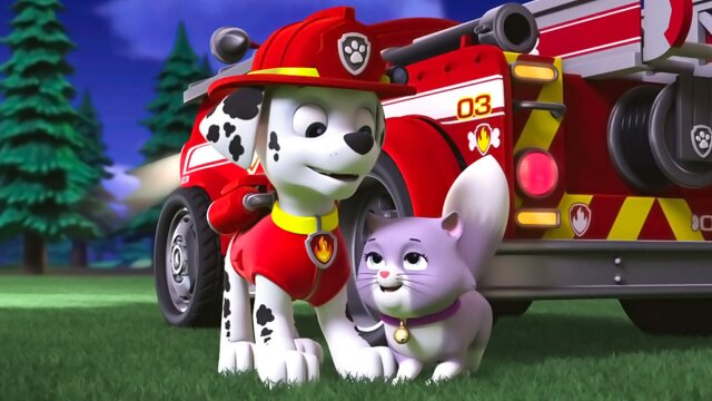 Watch PAW Patrol Pups Save a City Kitty Pups Save a Cloud Surfer